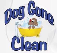 Dog Gone Clean