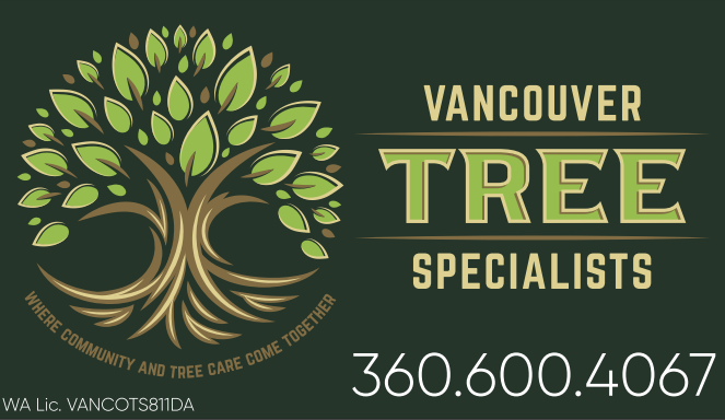 Vancouver Tree Specialist